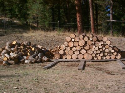 Wood harvested from the property can supply self-sustaining heat for years to come.